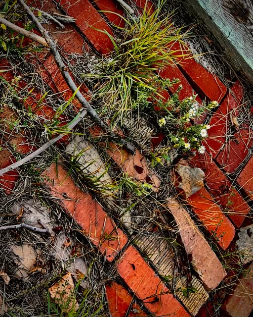 Photograph by Chuck Thurston: Between seasons