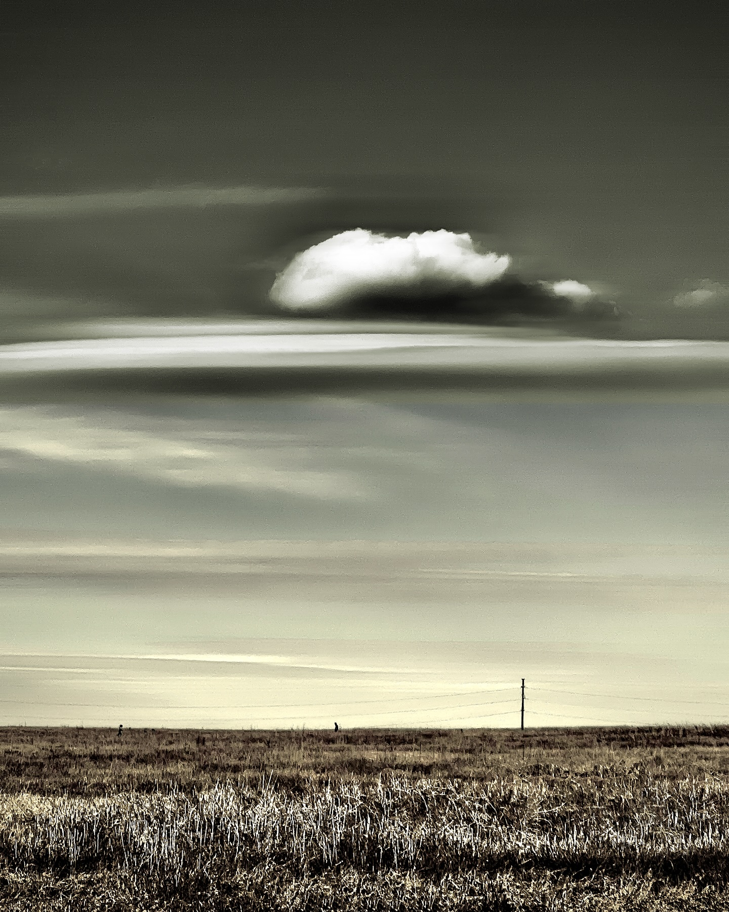 Photograph by Chuck Thurston: Along for the ride