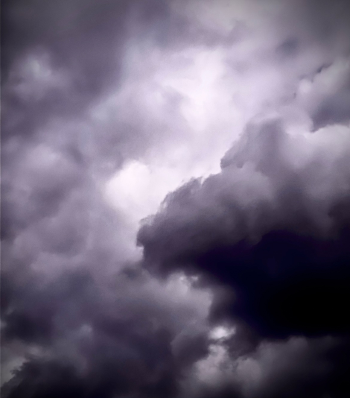 Purple Storm