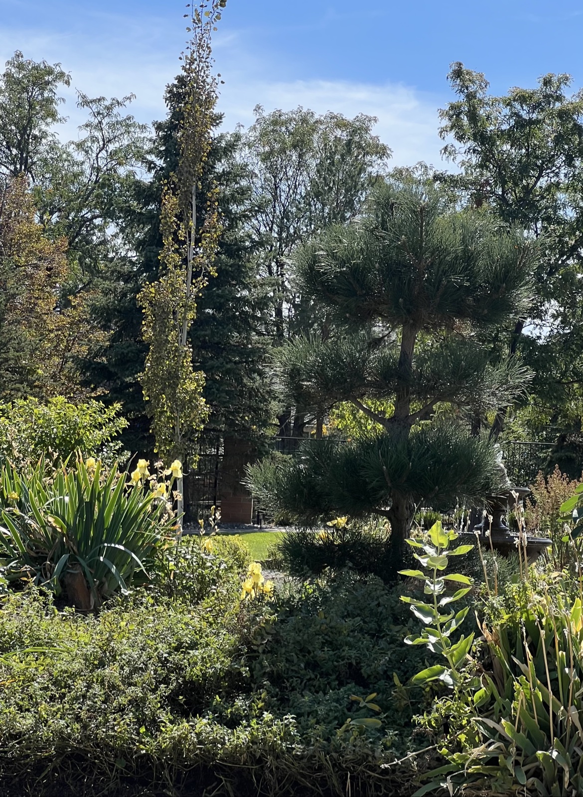 The Garden in Sun